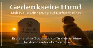 Gedenkseite Hund- Warum eine Gedenkseite für deinen Hund so wertvoll ist