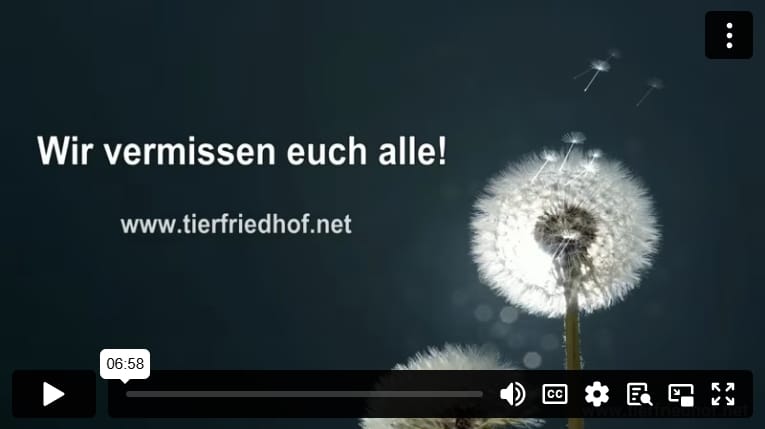 Abschiedsvideos 2022+2023