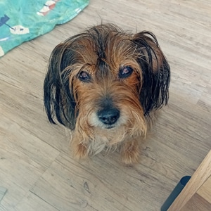 Casy_1000020415_300
